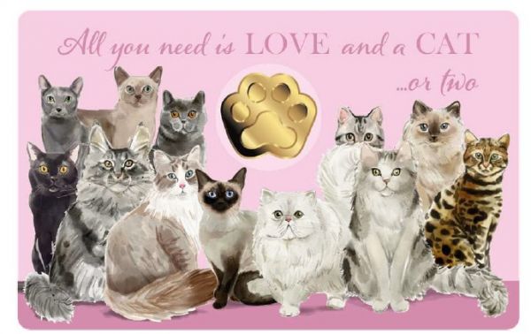 3.000 Francs Tschad Katzenpfote Coincard Gold