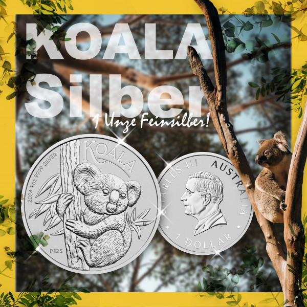 2024-Silber-KoalaWLAJfG7pBoKYg