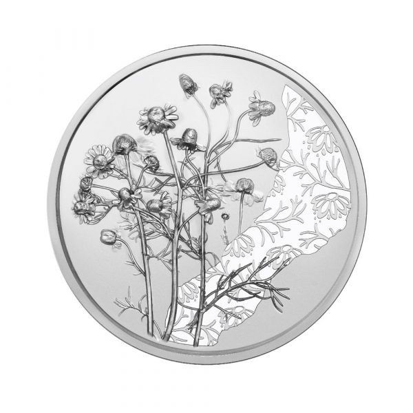 10 Euro Österreich Die Kamille 2023 Silber hgh