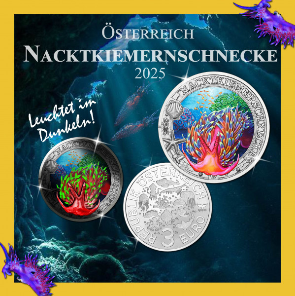 Nacktkiemernschnecke