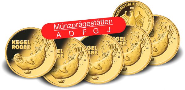 5x 20 Euro DE Kegelrobbe 2022 Gold St 1/8oz A-J