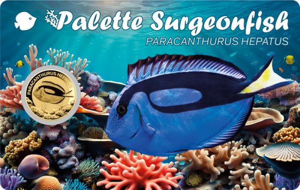 3.000 Francs Tschad Palette Surgeonfish - Doktorfisch Gold