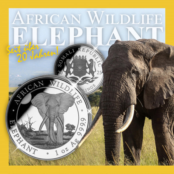 2024-Somalia-Elefant-2025-Silber