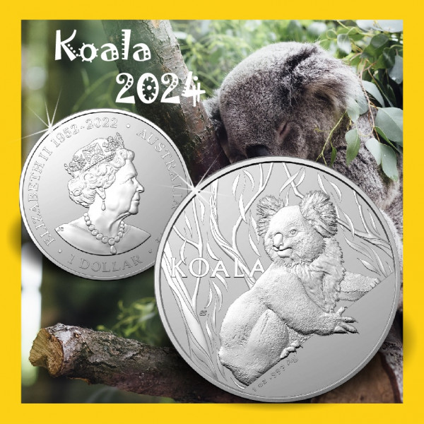 2024_RAM_Koala