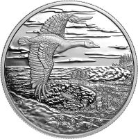 20 Dollar Kanada Vernetzte Natur 2025 Silber PP 20 Dollar Kanada Vernetzte Natur 2025 Silber PP