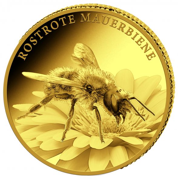 Deutschland Wunderwelt Insekten - Rostrote Mauerbiene 2023 Gold