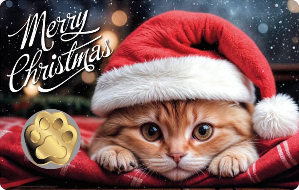 3.000 Francs Tschad Merry Christmas Katze Coincard Gold