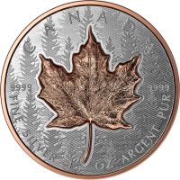 20 Dollar Kanada Maple Leaf - Ultra Hochrelief 2025 Silber RP 20 Dollar Kanada Maple Leaf - Ultra Hochrelief 2025 Silber RP