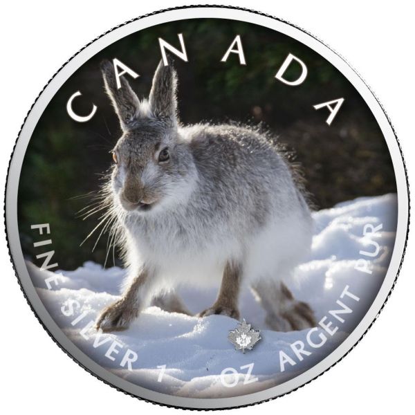 5 Dollars Kanada Trails of Wildlife - Schneehase 2021 Silber St