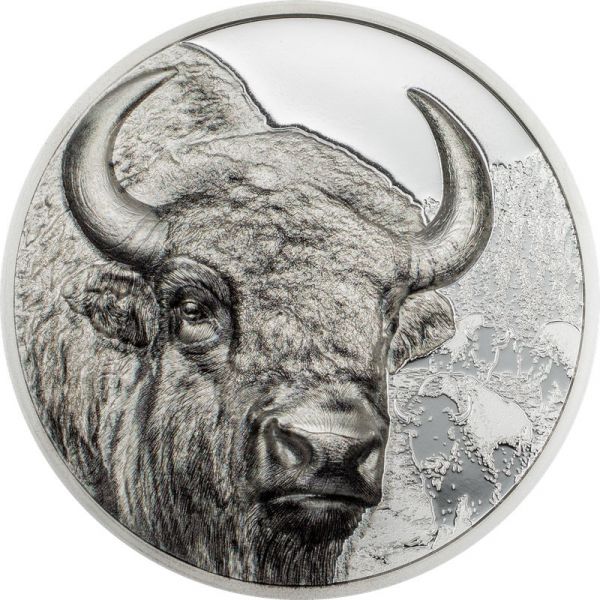 500 Togrog Mongolei Bison - Wild Mongolia 2025 Silber PP