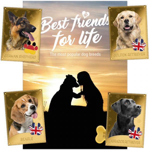 12x 1 Dollar Tokelau "Beste Freunde fürs Leben" Komplett Set 2024 Gold