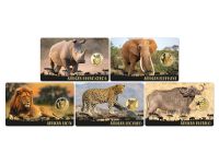 5x 3.000 Francs Tschad Big Five Of Africa Gold Coincard Set 5x 3.000 Francs Tschad Big Five Of Africa Gold Coincard Set
