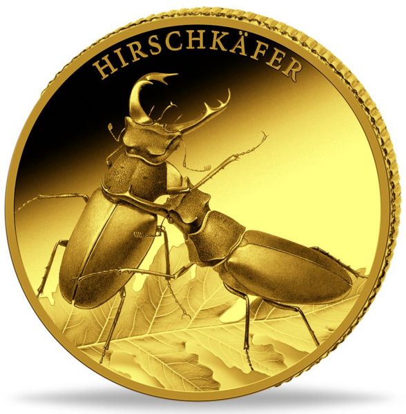 Deutschland Wunderwelt Insekten Hirschkäfer 2024 Gold PP