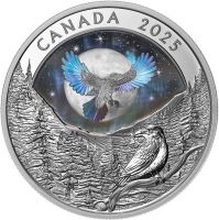 20 Dollar Kanada Mondhimmel - Rabe 2025 Silber PP 20 Dollar Kanada Mondhimmel - Rabe 2025 Silber PP