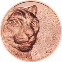 250 Togrog Mongolei Schneeleopard 2024 Kupfer PL 250 Togrog Mongolei Schneeleopard 2024 Kupfer PL
