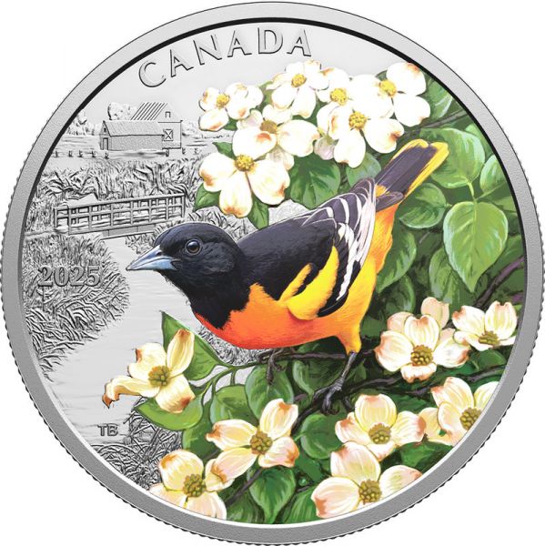 20 Dollar Kanada Baltimoretrupial - Farbenfrohe Vögel 2025 Silber PP