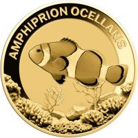 Vorschau: 3.000 Francs Tschad Clownfisch Coincard Gold Vorschau: 3.000 Francs Tschad Clownfisch Coincard Gold