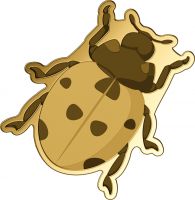 3.000 Francs Tschad Shape Münze Marienkäfer Gold 3.000 Francs Tschad Shape Münze Marienkäfer Gold